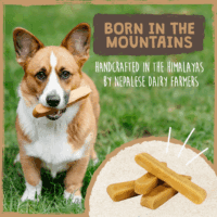 Yak Cheese Dog Chews - All-Natural Treats for Dogs - High Protein Treat with 68 Grams of Protein per Chew - Delicious and Long Lasting - Odor Free with Limited Ingredients - (Large, 4 Pack) - Image 7