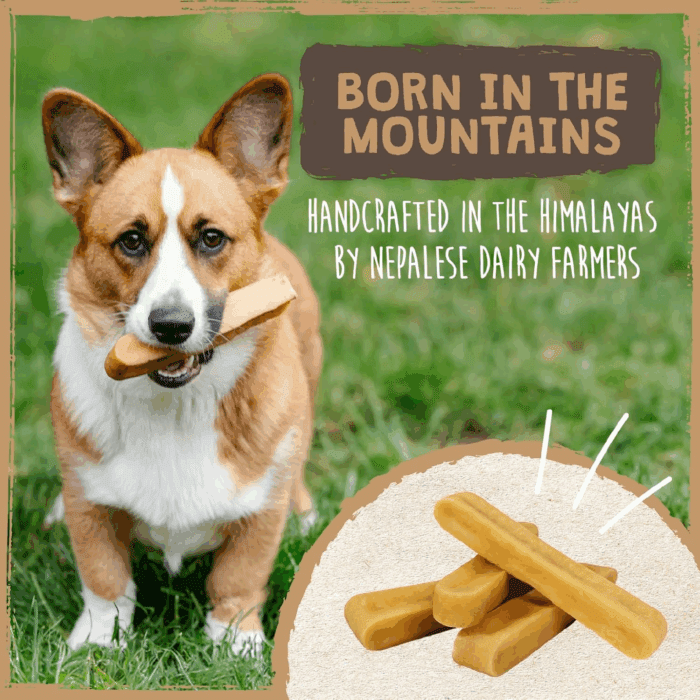 Yak Cheese Dog Chews - All-Natural Treats for Dogs - High Protein Treat with 68 Grams of Protein per Chew - Delicious and Long Lasting - Odor Free with Limited Ingredients - (Large, 4 Pack) - Image 7