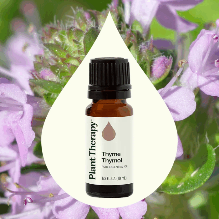 Thyme Thymol Essential Oil 100% Pure, Undiluted, Natural Aromatherapy, Therapeutic Grade 10 Ml (1/3 Oz) - Image 3