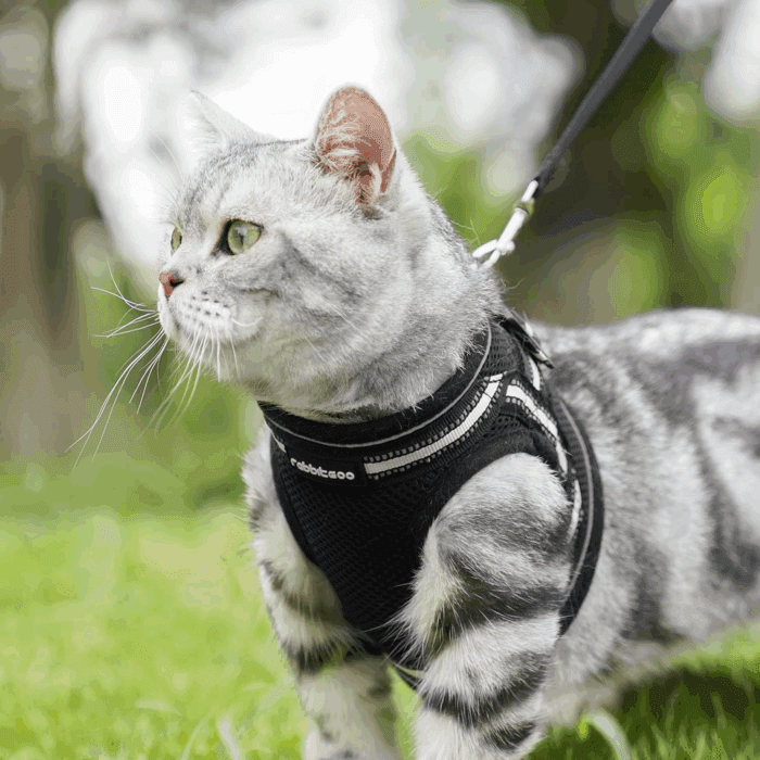 Cat Harness and Leash Set for Walking Escape Proof, Adjustable Soft Kittens Vest with Reflective Strip for Cats, Comfortable Outdoor Vest, Black, S - Image 8