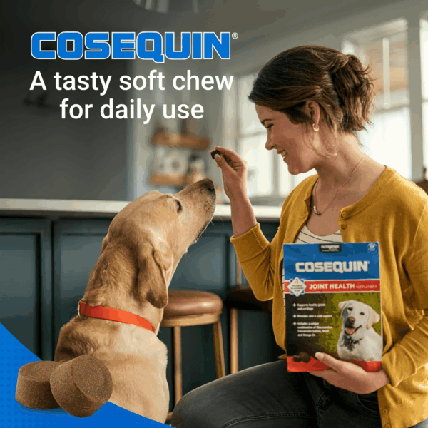 Cosequin Joint Health Supplement for Dogs - with Glucosamine, Chondroitin, MSM, and Omega-3'S, 120 Soft Chews - Image 4