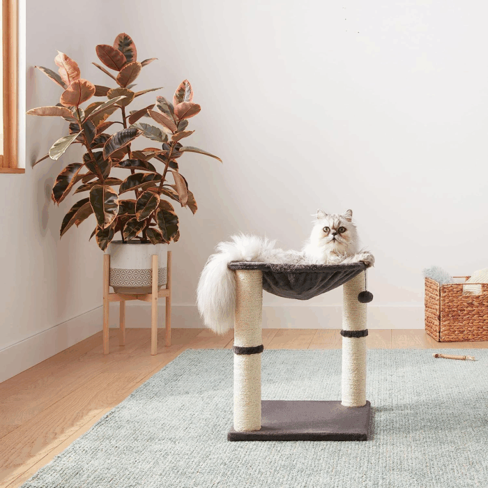 Cat Tower - Indoor Cat & Kittens Hammock Tower with Scratching Posts and Dangling Ball, (19.7"H) - Gray - Image 4