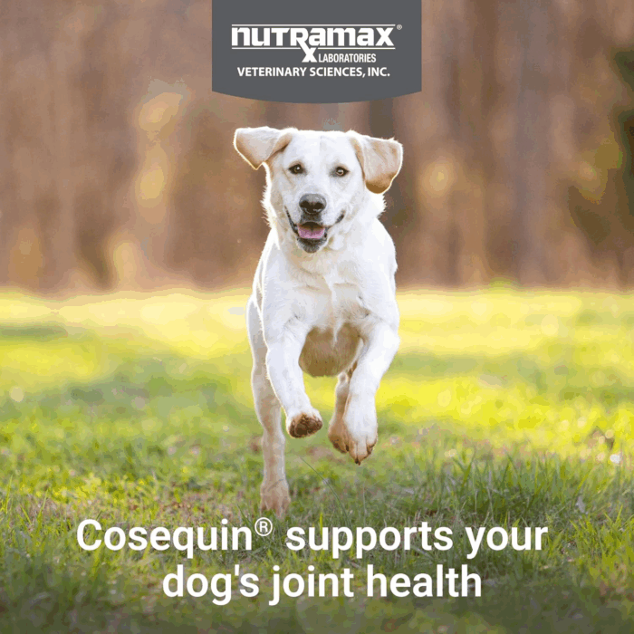 Cosequin Joint Health Supplement for Dogs - with Glucosamine, Chondroitin, MSM, and Omega-3'S, 120 Soft Chews - Image 3