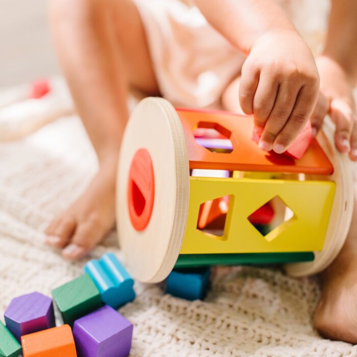 Match and Roll Wooden Shape Sorter Skill-Building Learning Toy with 13 Pcs - Image 3