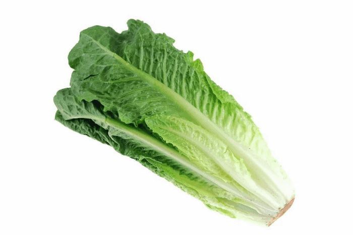 Fresh Romaine Lettuce Hearts 3 Count, Each - Image 2