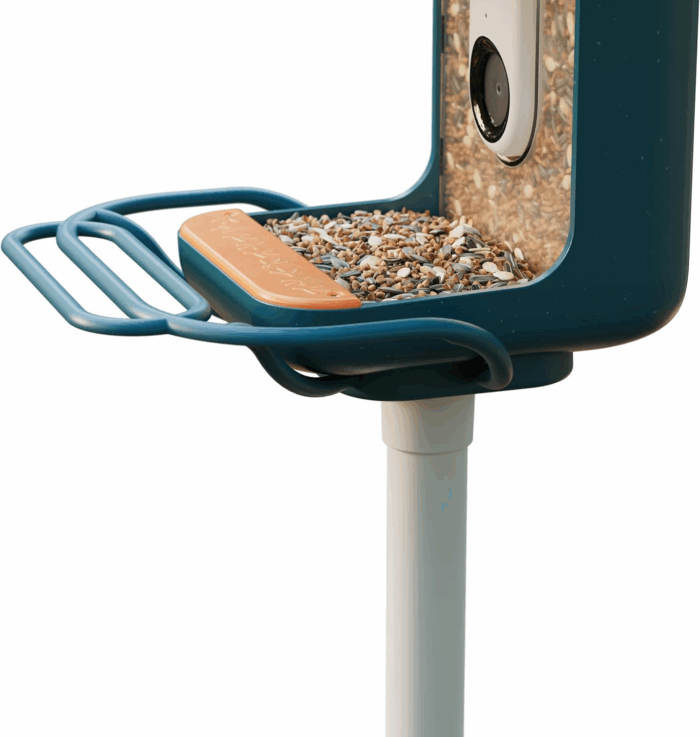 Blue Perch Extender- Add-On Accessory for Better Birding Experience - Outdoor Perch for Feeding Multiple Birds - Weatherproof and Durable for Large Bird Species - Image 4