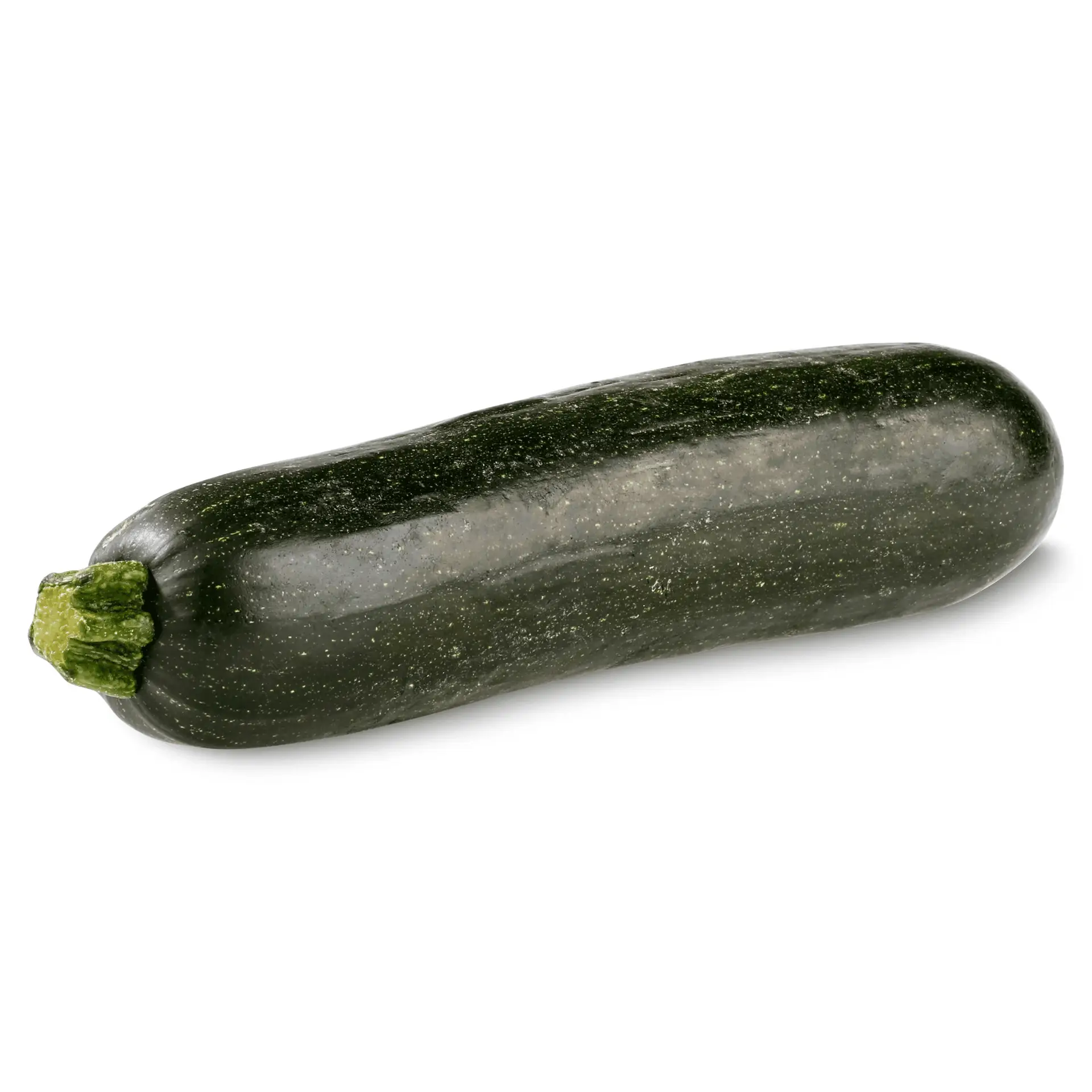 Fresh Zucchini Squash, Each