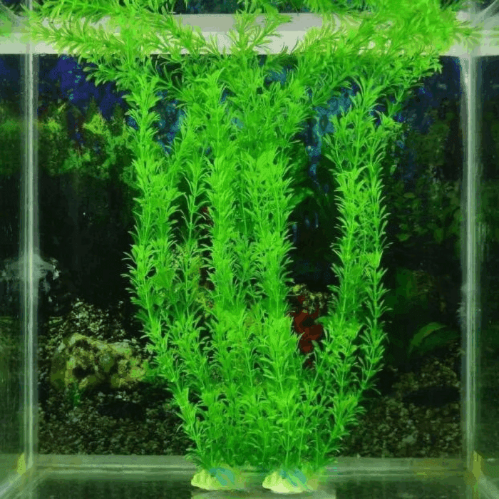 Aquarium Accessories Clearance Fish Decorative 10.6-Inch Plants Green Tank Aquarium Aquarium 3-Piece Aquarium Accessories - Image 4