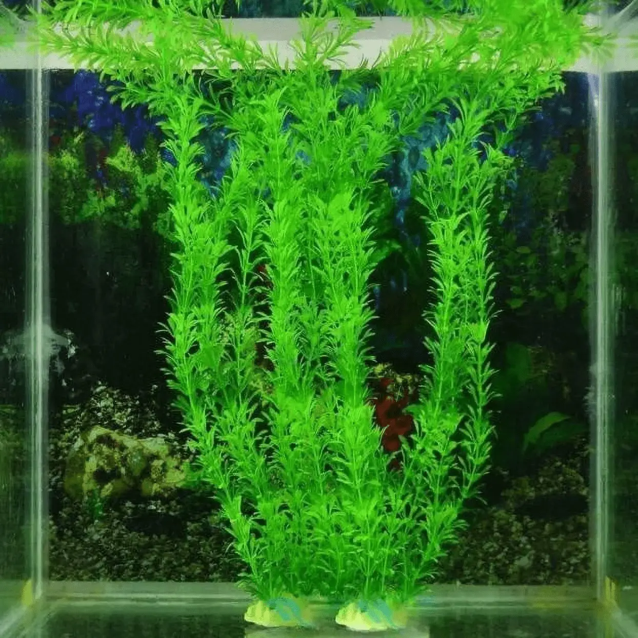 Aquarium Accessories Clearance Fish Decorative 10.6-Inch Plants Green Tank Aquarium Aquarium 3-Piece Aquarium Accessories - Image 4