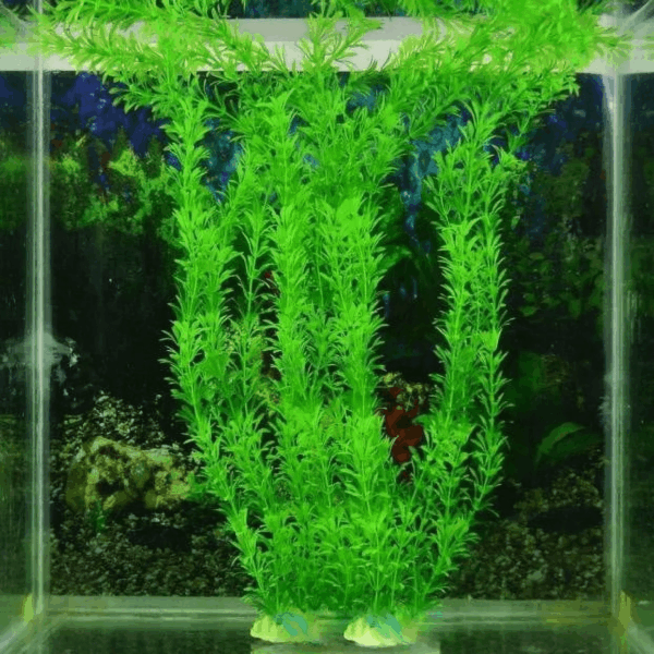 Aquarium Accessories Clearance Fish Decorative 10.6-Inch Plants Green Tank Aquarium Aquarium 3-Piece Aquarium Accessories - Image 4