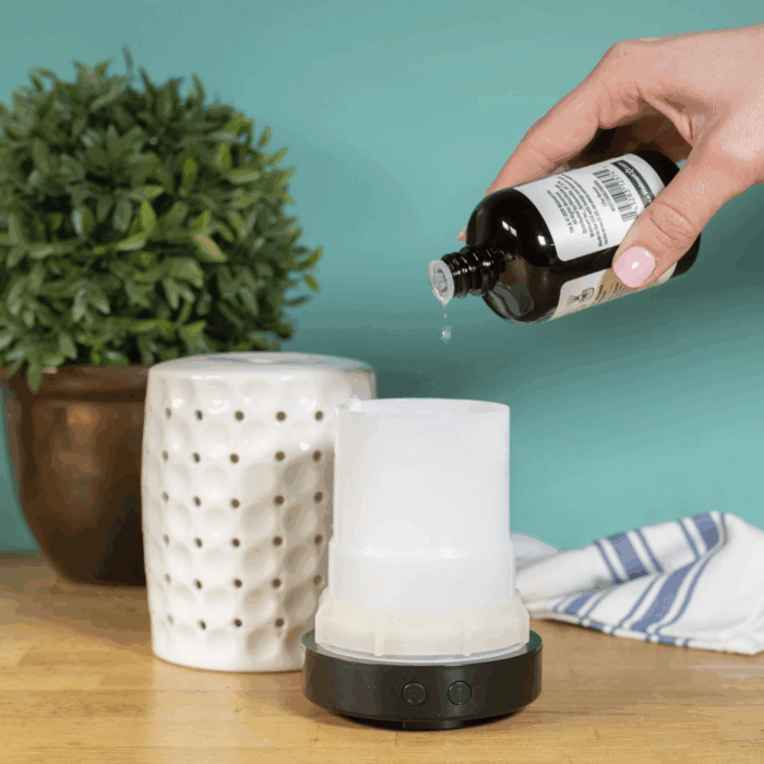 Universal Fragrance Oil, Hidden Springs Scented, 5 Fl Oz, for Use with Fragrance Oil Diffusers, Fragrance Warmers, Potpourri, and Wicking Fragrance Diffusers - Image 3