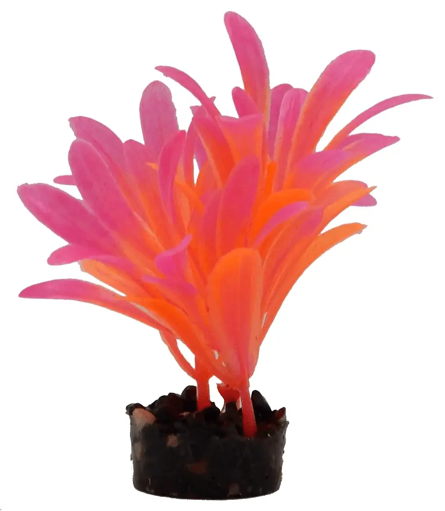 Bright Value Aquarium Plant - Bright Color - Image 4