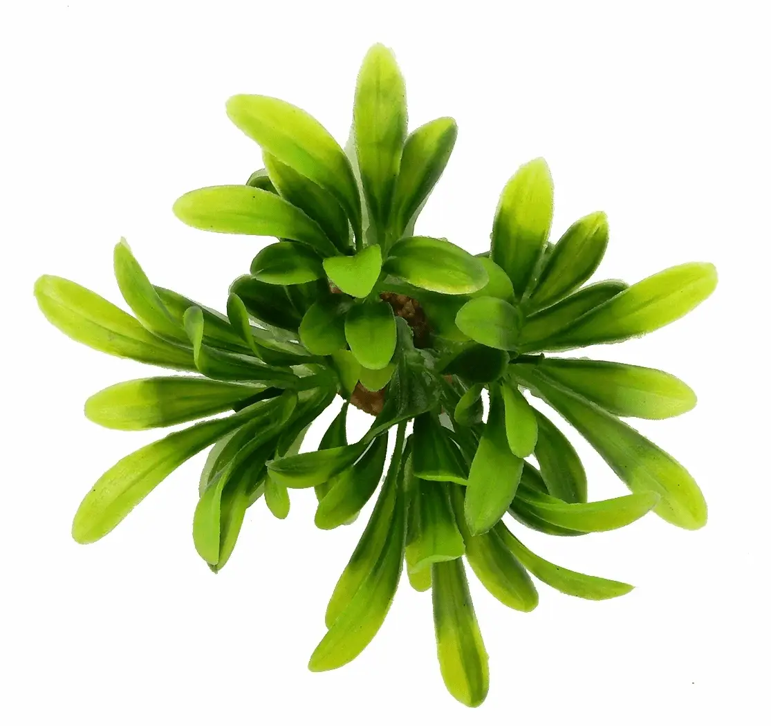Value Aquarium Plant Decoration - Green - Image 5