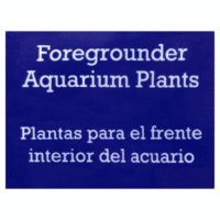 Foregrounder Plastic Aquarium Plants - Multicolored - 3 Count per Pack - Image 4
