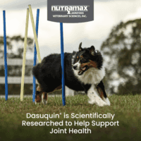 Dasuquin with MSM Joint Health Supplement for Large Dogs - with Glucosamine, MSM, Chondroitin, ASU, Boswellia Serrata Extract, and Green Tea Extract, 84 Soft Chews - Image 2