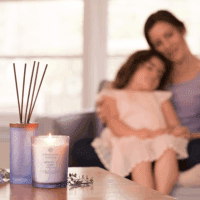 Scented Candle Peace + Tranquility (Cashmere Jasmine) 3-Wick Coffee Table Jar - Image 3