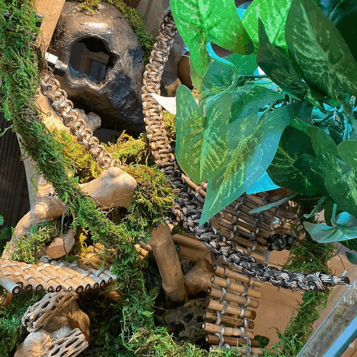 2 Pcs Reptile Vines for Climbing Bendable Jungle Vines Made of Handmade Umbrella Cord Weaving Rope Decor with 3 Suction Cup Accessories for Chameleon Crab Lizards Snakes Gecko Frog Hermit Crab - Image 8