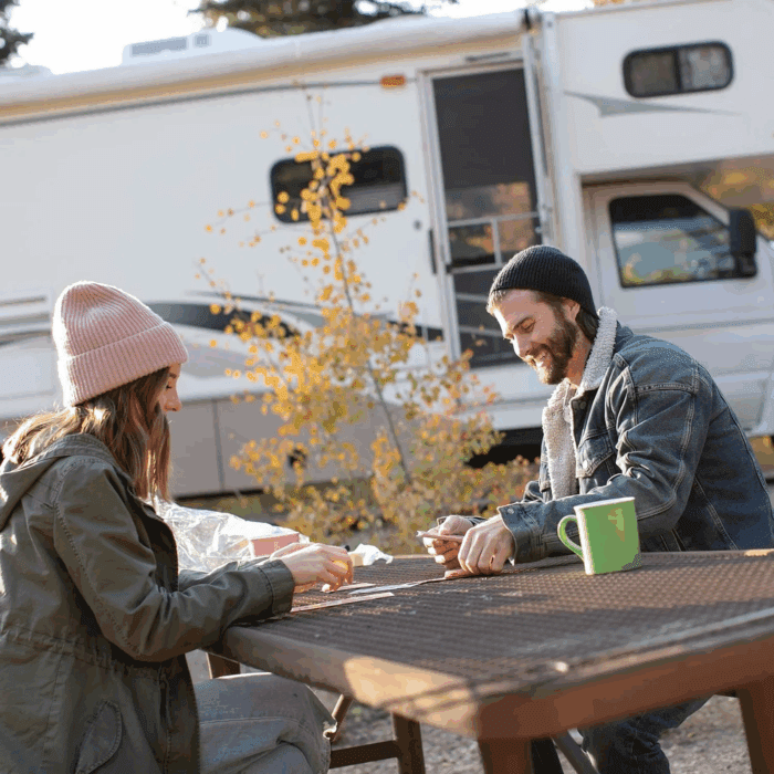 Euro-Style Single Dome Light with Jack Ceiling Light Fixture Camper RV Interior Lights - Image 3