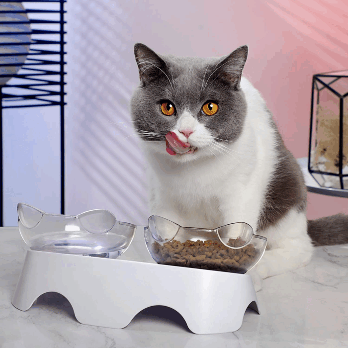 Cat Bowls, Cat Food Bowls Elevated Tilted, anti Vomiting Kitty Bowl for Puppy and Bunny, Orthopedic for Indoor Cats. - Image 4