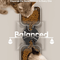 Automatic Cat Feeder for 2 Cats, 20 Cups/5L Automatic Cat Food Dispenser for Small Pets Indoor, Timed Cat Feeder for Dry Food - Image 3
