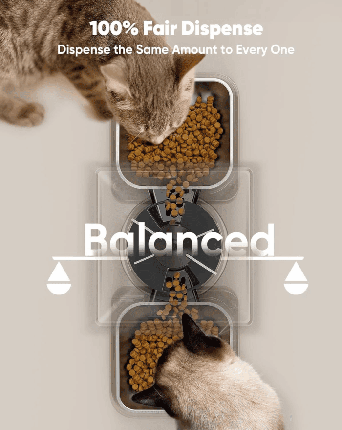 Automatic Cat Feeder for 2 Cats, 20 Cups/5L Automatic Cat Food Dispenser for Small Pets Indoor, Timed Cat Feeder for Dry Food - Image 3