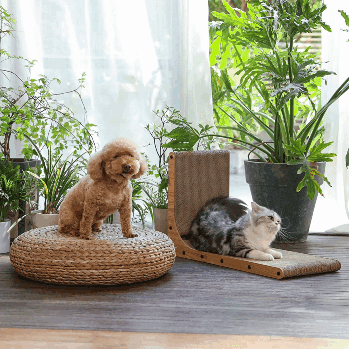 Cat Scratcher, 26.8 Inch L Shape Cat Scratch Pad Wall Mounted, Cat Scratching Cardboard with Ball Toy for Indoor Cats, Large Size - Image 5