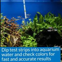 5-In-1 Test Strips Freshwater and Saltwater Aquarium Test Strips 25-Count Box - Image 7