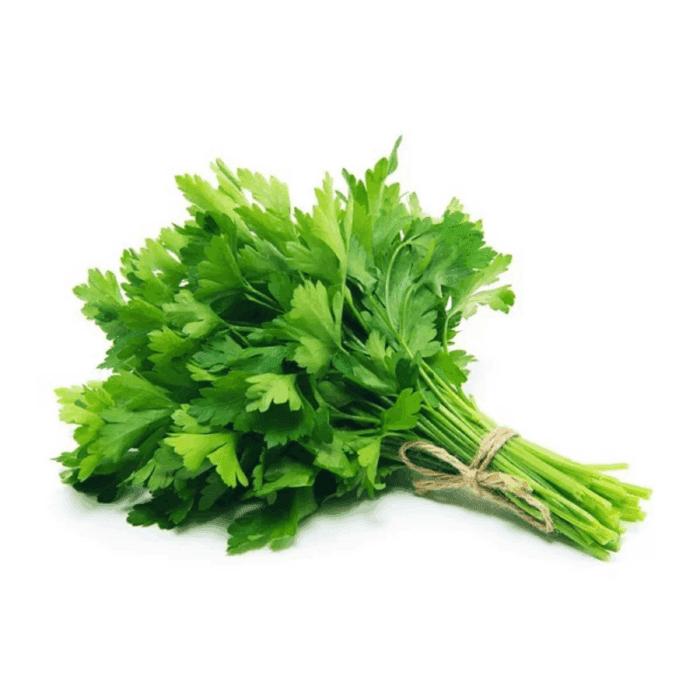 Fresh Cilantro, Bunch
