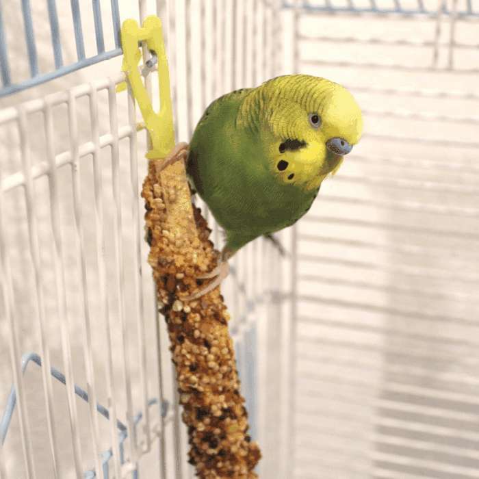 Crunch Sticks Parakeet Treat, Honey, Egg, and Apple, Multi Pack of 12 Sticks - Image 4