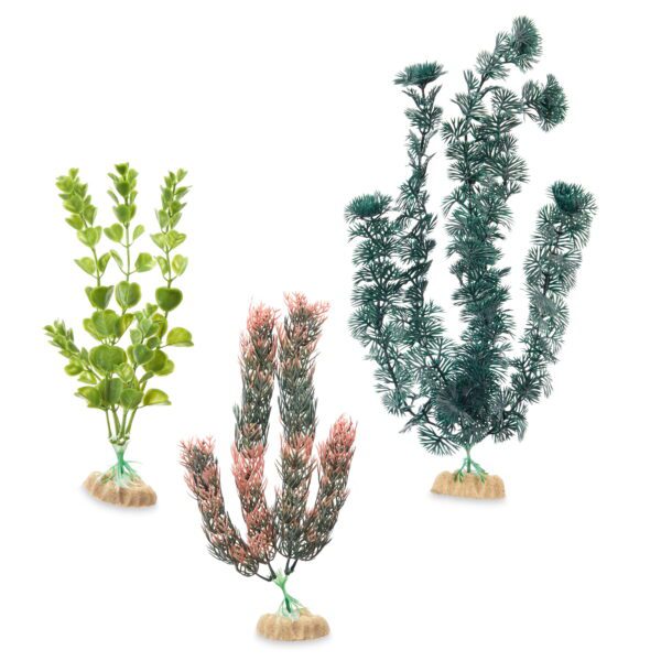 Moneywort, Cabomba & Foxtail Aquarium Plant Assortment (Style Will Vary) - Image 3