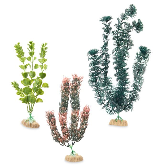 Moneywort, Cabomba & Foxtail Aquarium Plant Assortment (Style Will Vary) - Image 3