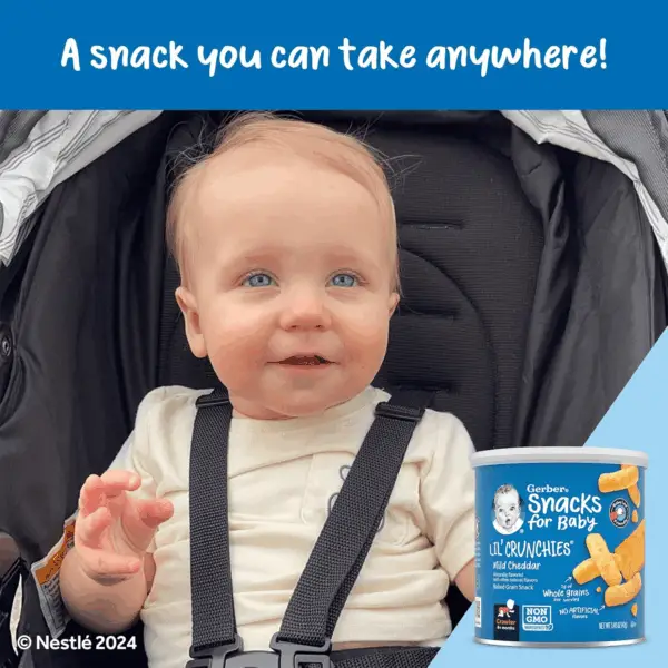 Snacks for Baby Value Pack, Lil Crunchies, Mild Cheddar & Veggie Dip, 1.48 Ounce (Pack of 8) - Image 8