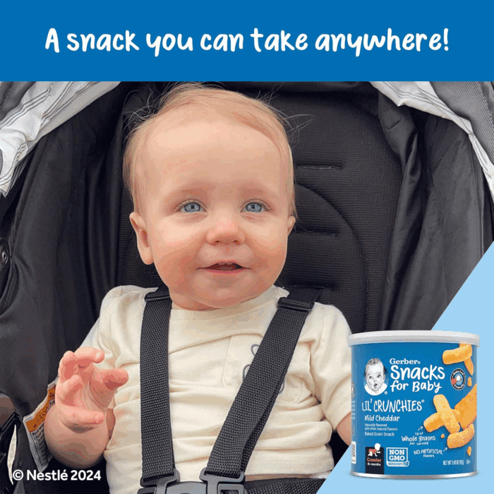 Snacks for Baby Value Pack, Lil Crunchies, Mild Cheddar & Veggie Dip, 1.48 Ounce (Pack of 8) - Image 8