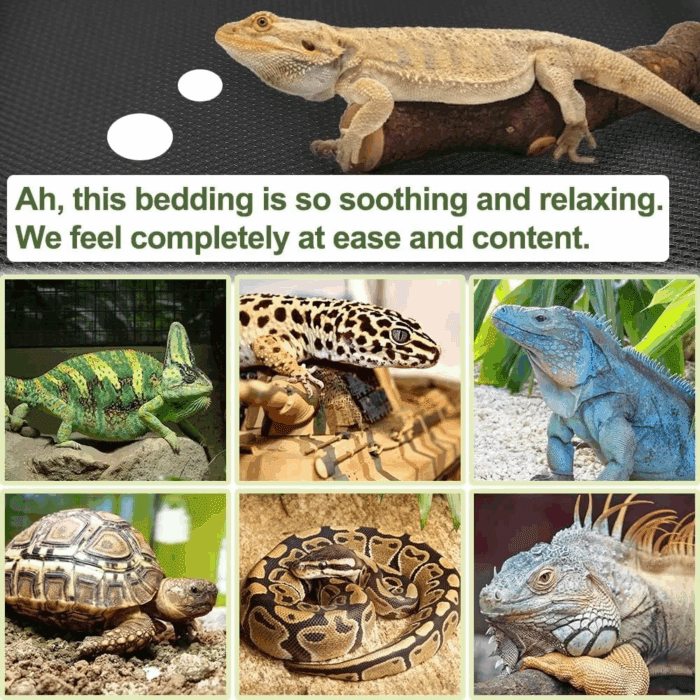 Reptile Carpet Reptile Substrate Floor Reptile Terrarium Mat Liner Durable and Dirt Resistant Reptile Carpet for Leopard Gecko Lizard Bearded Dragon Tank Accessories(Black) - Image 5