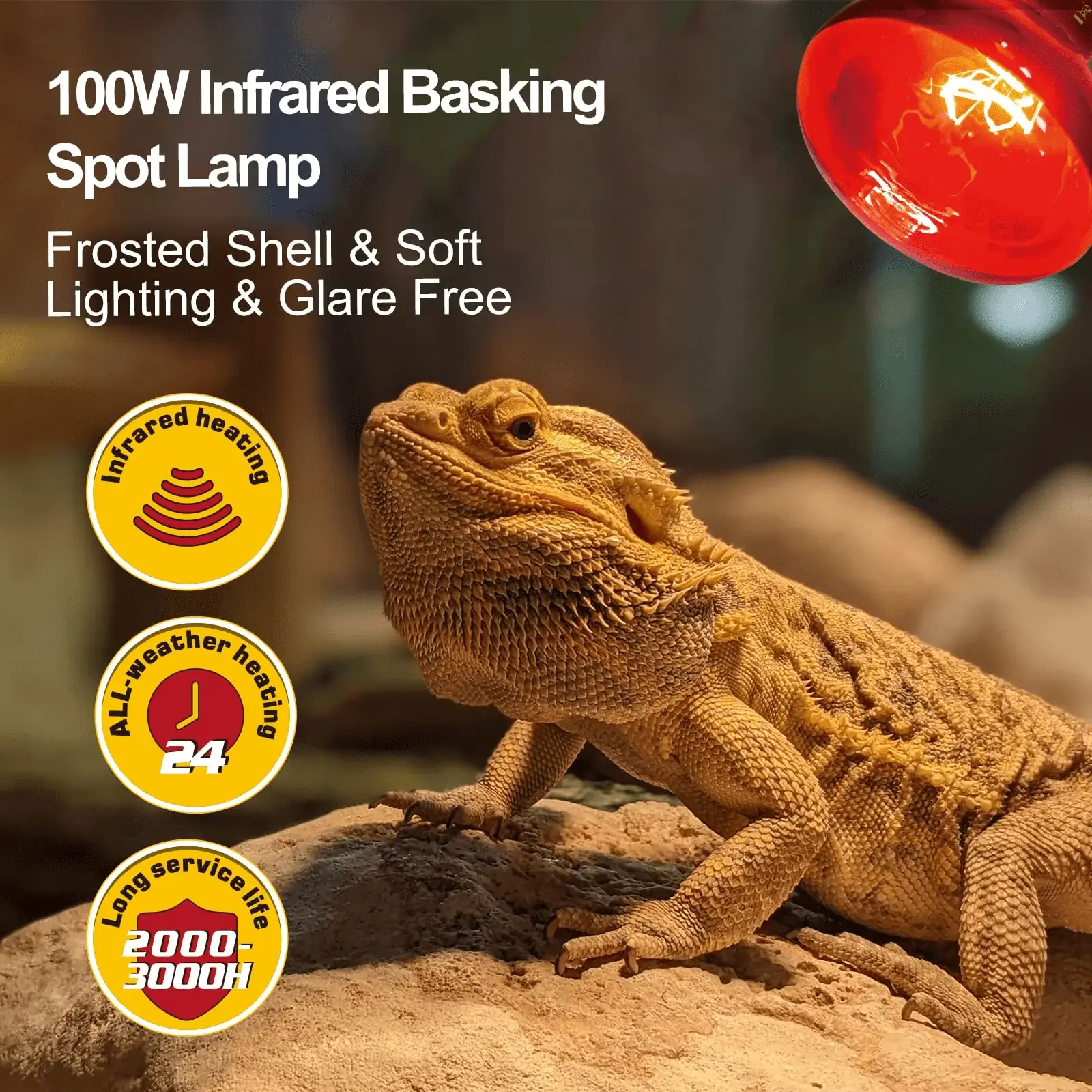 100W Reptile Heat Lamp Bulbs Combo, Day & Night Basking Spot Light, UVA Heating Lamp 2 Pack - Image 4