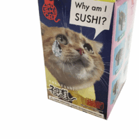 Clever Idiots Nekozushi Keychain - Blind Box Includes 1 of 5 Collectable Figurines - Features a Detachable Keyring (Version 1) - Image 2