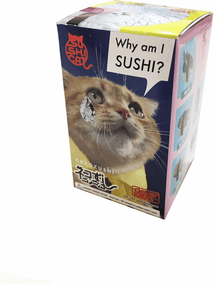 Clever Idiots Nekozushi Keychain - Blind Box Includes 1 of 5 Collectable Figurines - Features a Detachable Keyring (Version 1) - Image 2