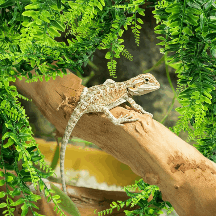 2 Pack Reptile Plants Terrarium Hanging Plant Artificial Leaves Reptile Hide with Suction Cup, Reptile Tank Accessories for Bearded Dragon Lizard Snake Geckos Chameleon - Image 6