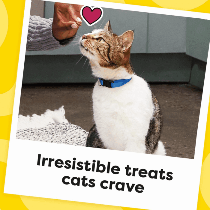 Classic Crunchy and Soft Cat Treats Blissful Catnip Flavor, 16 Oz. Tub - Image 10