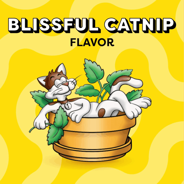 Classic Crunchy and Soft Cat Treats Blissful Catnip Flavor, 16 Oz. Tub - Image 4