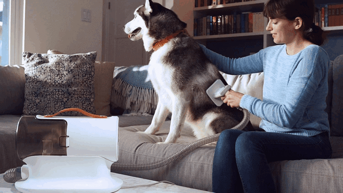 Dog Grooming Vacuum, Dog Grooming Kit,12000Pa Strong Pet Grooming Vacuum for Dogs, 2L Large Capacity Dog Vacuum for Shedding Grooming Hair, Dog Hair Vacuum, 5 Pet Grooming Tools, Quiet,Pg100 - Image 8