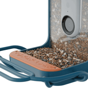 Blue Perch Extender- Add-On Accessory for Better Birding Experience - Outdoor Perch for Feeding Multiple Birds - Weatherproof and Durable for Large Bird Species