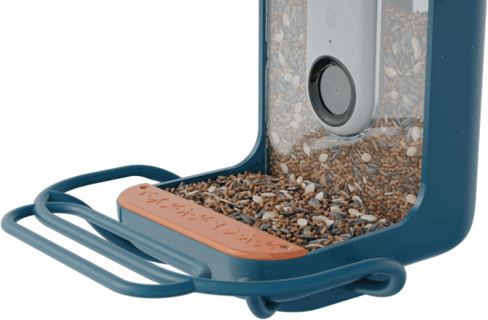 Blue Perch Extender- Add-On Accessory for Better Birding Experience - Outdoor Perch for Feeding Multiple Birds - Weatherproof and Durable for Large Bird Species