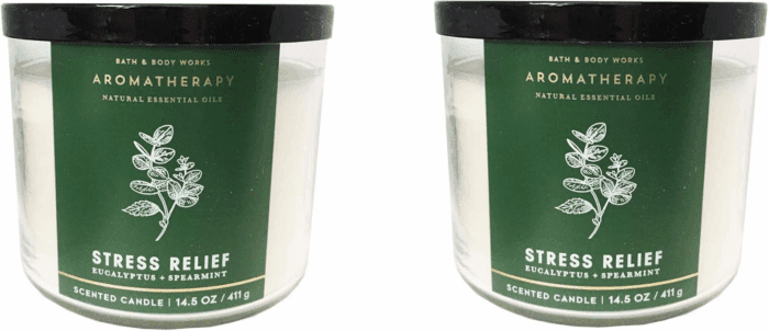 Aromatherapy 3 Wick Candle, 14.5 Oz, Eucalyptus Spearmint (2 Pack)