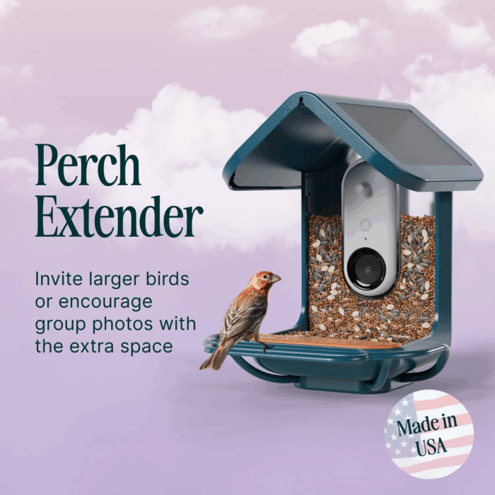 Blue Perch Extender- Add-On Accessory for Better Birding Experience - Outdoor Perch for Feeding Multiple Birds - Weatherproof and Durable for Large Bird Species - Image 2