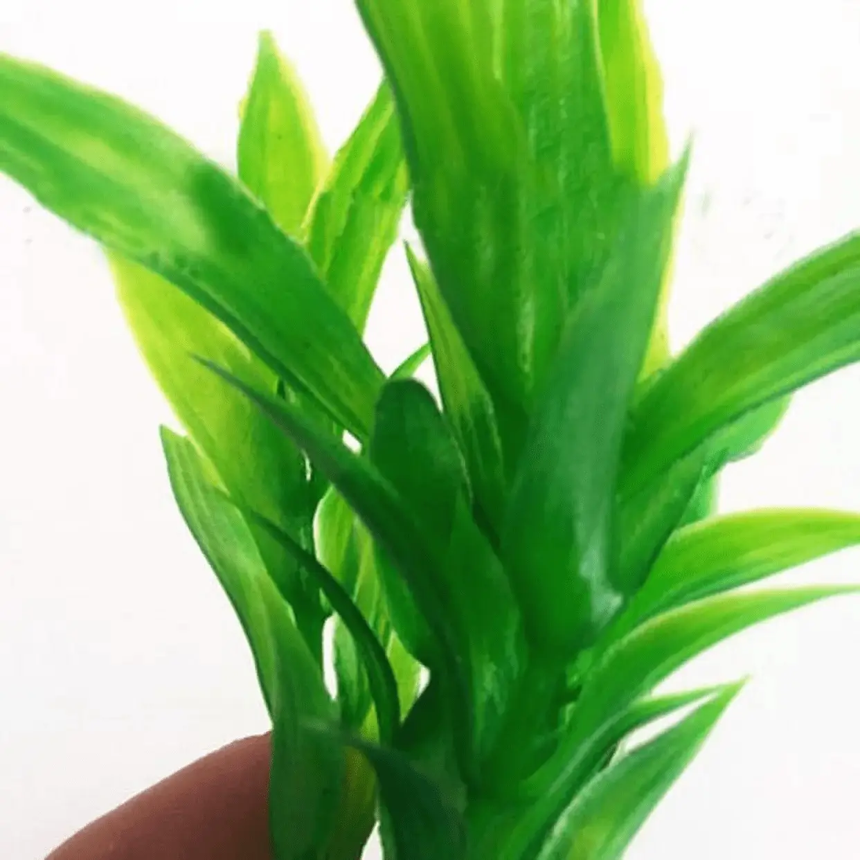 Silk Fke Artificial Fish Decoration Plants Tank Aquarium Simulation 10Pcshome Aquarium Accessories Aquarium Accessories - Image 2