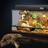 Reptile Plants for Bearded Dragon Tank Accessories, Reptile Hammock Terrarium Plant Vines Branch Plants Habitat Decoration for Lizard Leopard Gecko Snake Chameleon Ball Pythons - Image 2