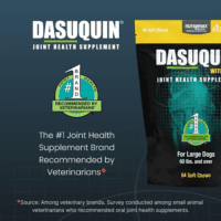 Dasuquin with MSM Joint Health Supplement for Large Dogs - with Glucosamine, MSM, Chondroitin, ASU, Boswellia Serrata Extract, and Green Tea Extract, 84 Soft Chews - Image 3