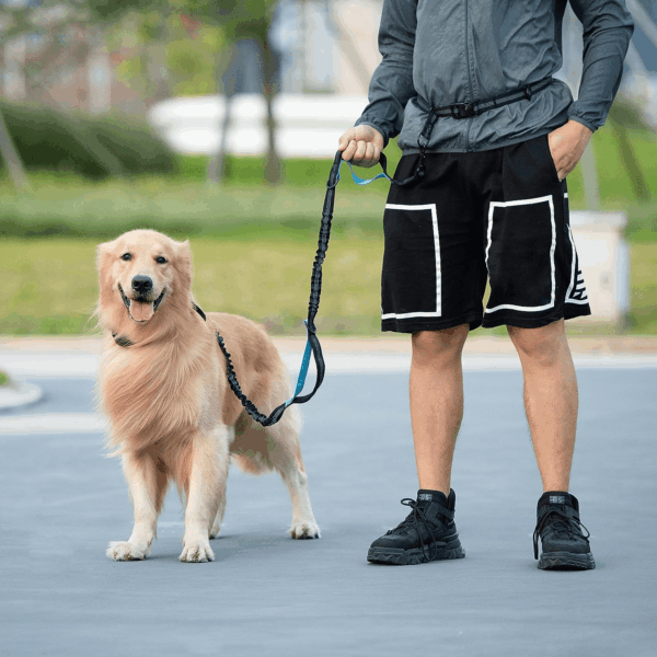 Hands Free Dog Leash with Zipper Pouch, Dual Padded Handles and Durable Bungee for Walking, Jogging and Running Your Dog (Large, 25-120 Lbs, Black) - Image 7