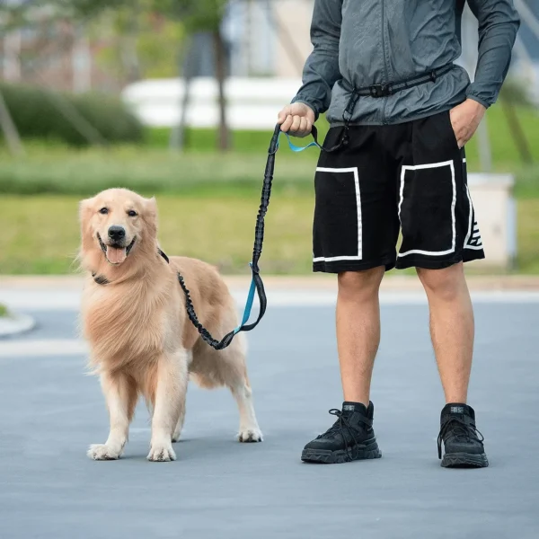 Hands Free Dog Leash with Zipper Pouch, Dual Padded Handles and Durable Bungee for Walking, Jogging and Running Your Dog (Large, 25-120 Lbs, Black) - Image 7